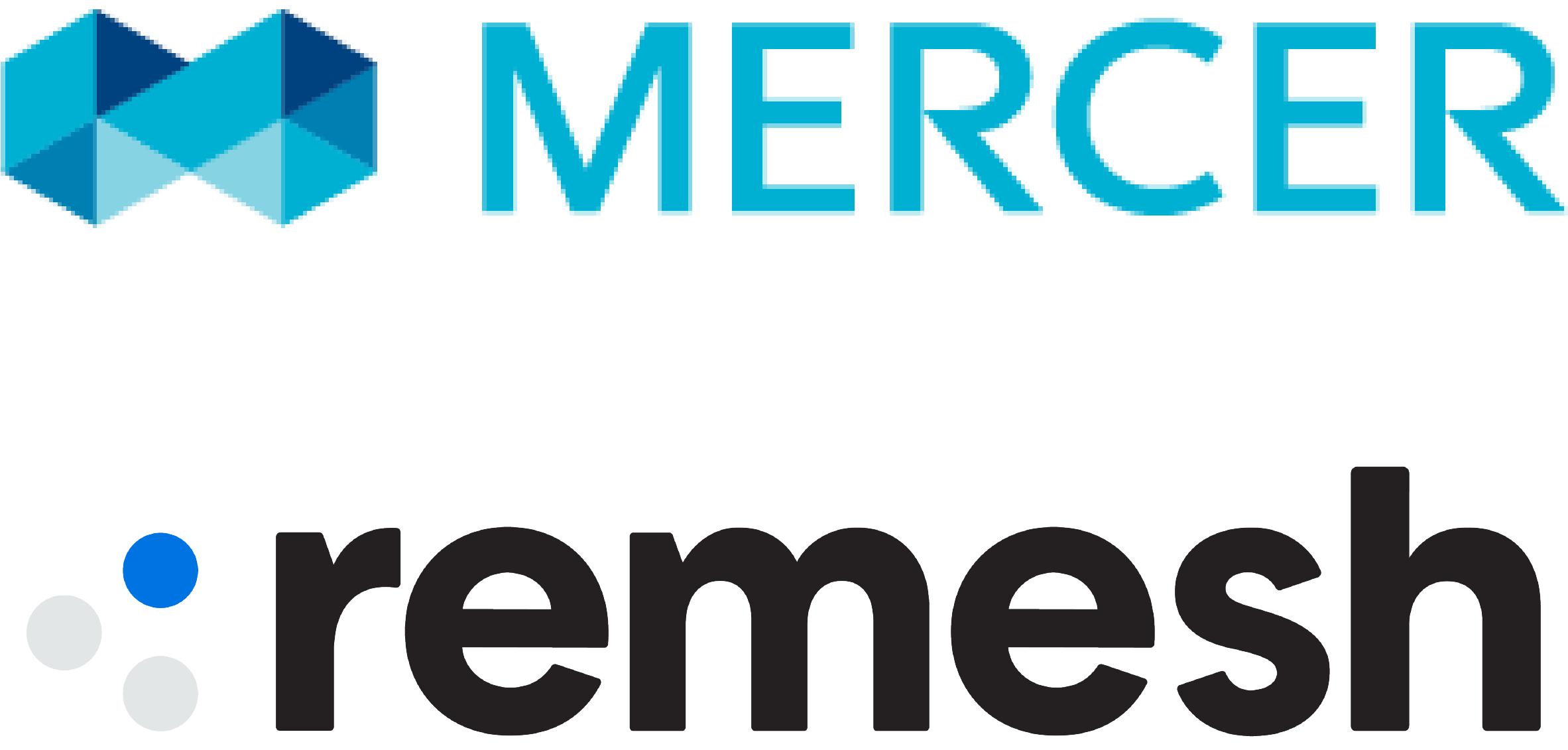 MercerXRemesh2-1